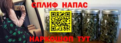 мяу мяу мука Будённовск