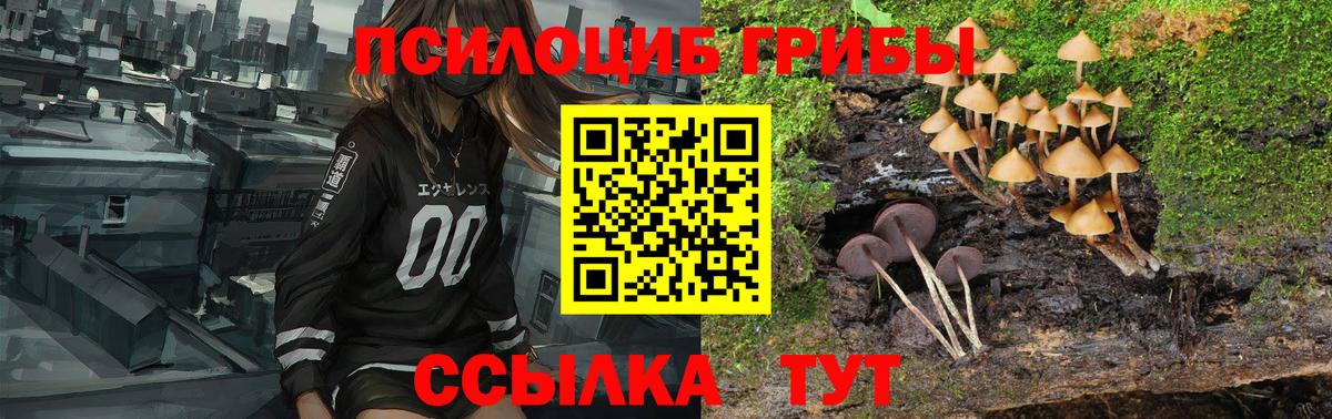 наркотики  Вход с VPN  Россошь  Псилоцибиновые грибы Magic Shrooms  Псилоцибиновые грибы мицелий 